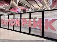 -深圳湾万象城(南山店)