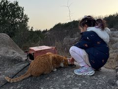 -北京凤凰岭