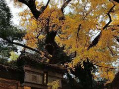 -无锡惠山寺