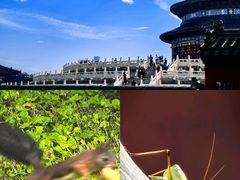 -天坛公园