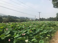 -韶山毛泽东同志故居