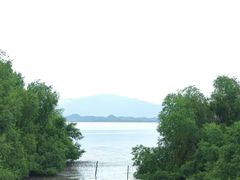 -深圳湾公园(南山区)