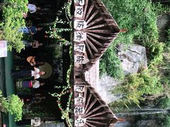 -西双版纳原始森林公园