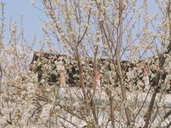 -樱桃山旅游景区