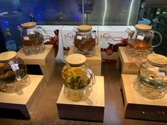 -蒙肥羊·酸汤潮牛·鲜牛肉火锅烤肉自助(岗顶店)