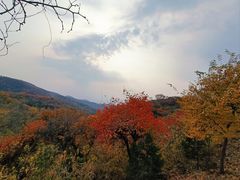 -北京西山国家森林公园