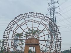 -王借岗森林公园