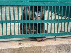 -秦皇岛野生动物园