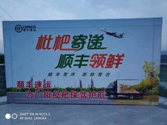 -菜园坝水果市场
