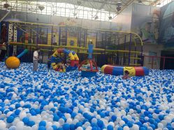 -爱丽丝奇幻乐园