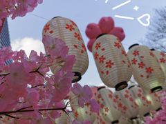 -金茂览秀城