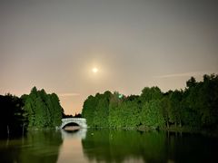 -上海海湾国家森林公园