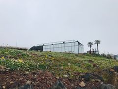 -Cafe Aewol Monsant