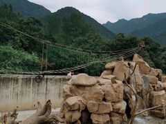 -西安秦岭野生动物园