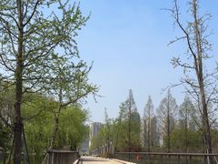 -诺贝尔湖公园