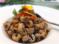 -鲁班张葱烧海参(马庄街店)