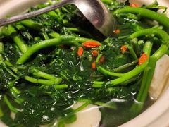 -煲煲好(朝阳门店)
