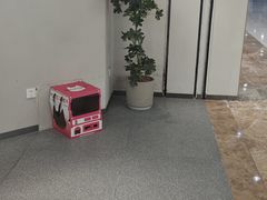 -静宜和她的朋友(星海广场店)