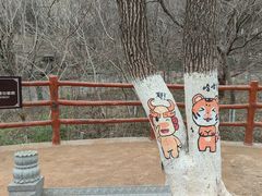 -佛慧山