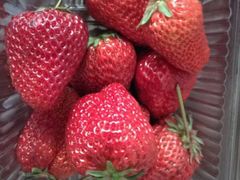 -兴芮温泉度假区