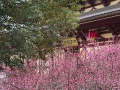 -庐山风景名胜区-东林大佛