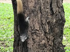 -The Dishes Seafood & Restaurant