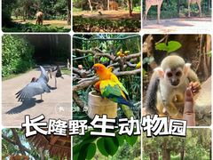 -广州西关永庆坊旅游区