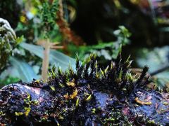 -赤水丹霞旅游区·大瀑布