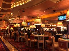 -拉斯维加斯永利酒店