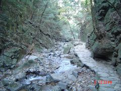 -藏龙百瀑风景区