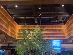 -滇铺子·云南特色菜·第九届野生菌美食节(曲靖万达店)