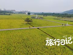 -艾米稻香小镇