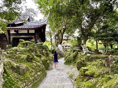 -桂湖森林公园