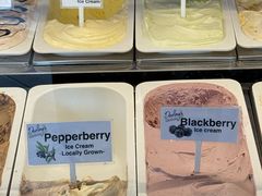 -Dooley's Premium Ice Cream