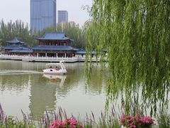 -雁滩公园