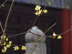 -万寿八仙宫