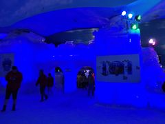 -世界之窗阿尔卑斯冰雪世界