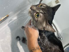 -FAELING PETS美天灵宠物(富力广场店)