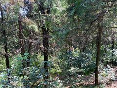 -北京西山国家森林公园