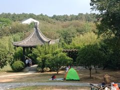 -大塘金香草谷