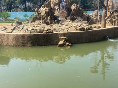 -合肥野生动物园