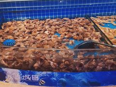 水产区-乔哥铭洋海鲜自助(皇城恒隆广场店)