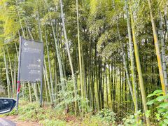 -莫干山风景区