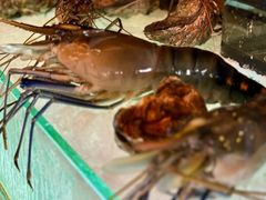 -Ministry of Crab(科伦坡店)