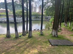 -珠海圆明新园