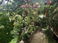 -铁炉农家菜馆