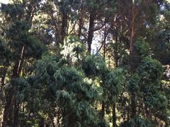 -雁荡山风景名胜区-小龙湫