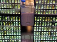 -广东中医药博物馆