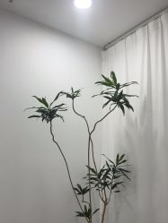 -张小野·专业半永久纹眉