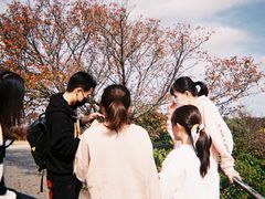 -神户市立六甲山牧场